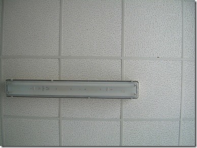 Nuevos techos y suelos - BlogDecoraciones.com